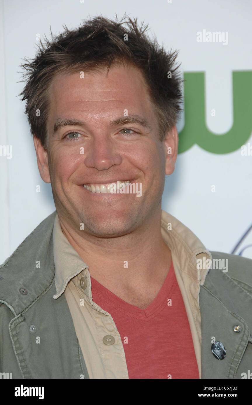 Michael Weatherly aux arrivées pour CBS, The CW et Showtime TCA Summer Press Tour Party, Beverly Hilton Hotel, Los Angeles, CA Banque D'Images