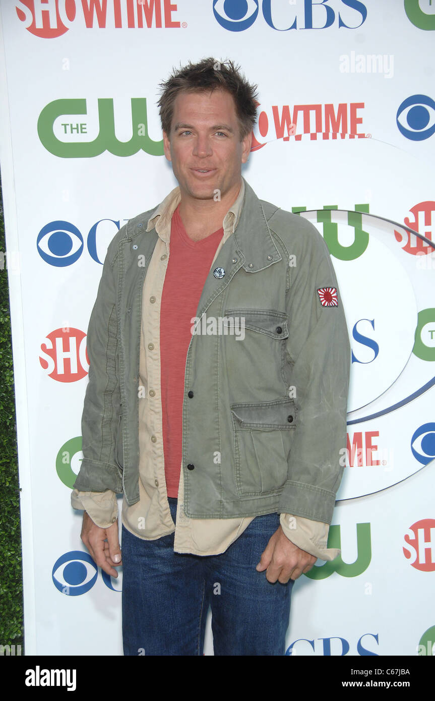 Michael Weatherly aux arrivées pour CBS, The CW et Showtime TCA Summer Press Tour Party, Beverly Hilton Hotel, Los Angeles, CA Banque D'Images