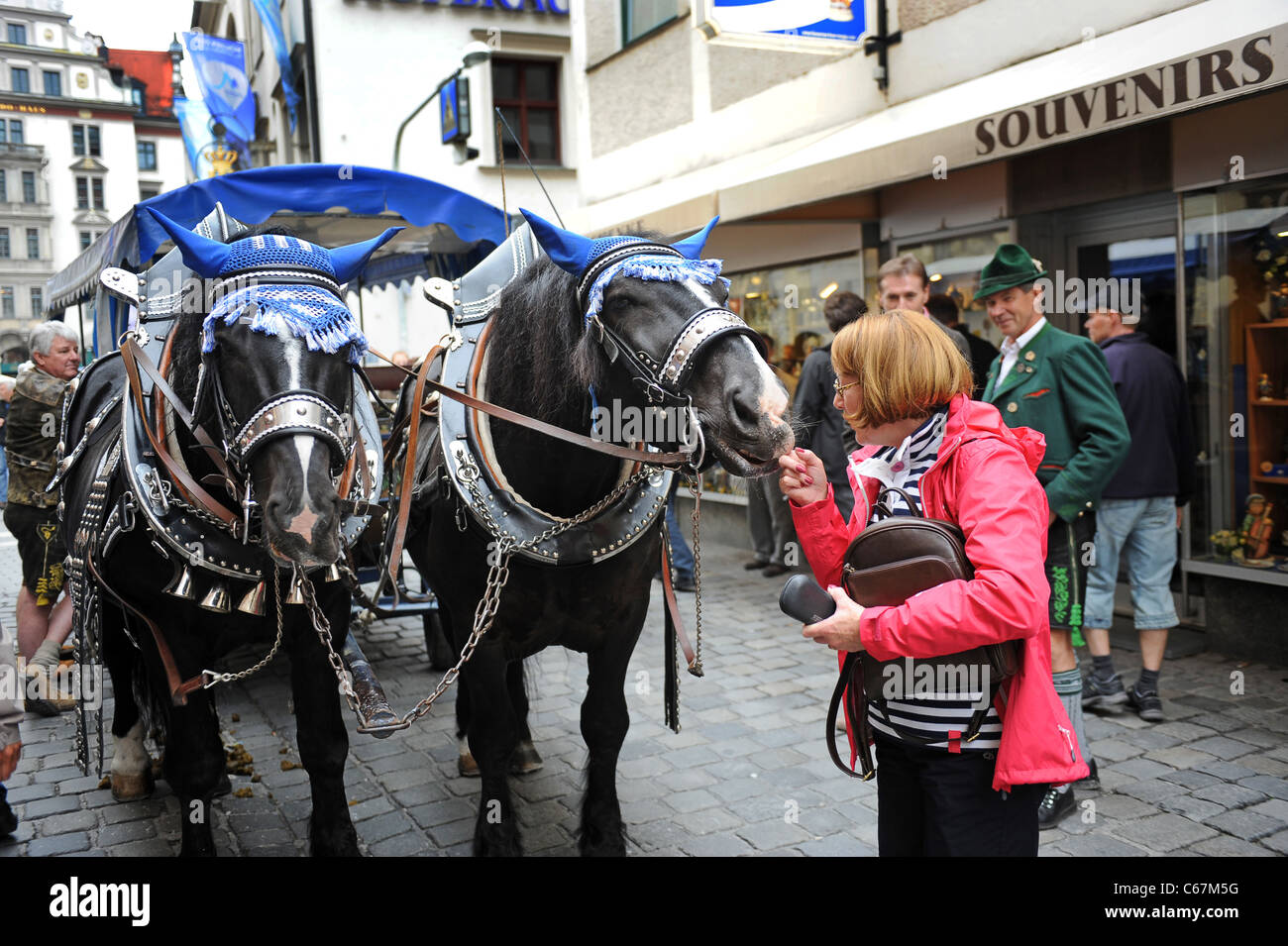 Chevaux de Bavière Munich Bavaria Allemagne Munchen Deutschland Banque D'Images