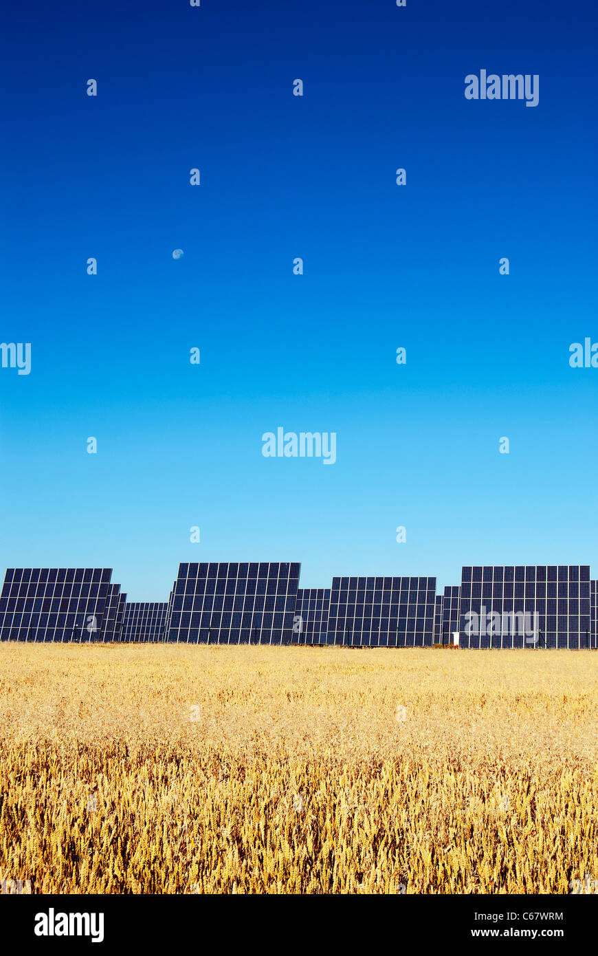 Des panneaux solaires pour produire de l'électricité à partir du soleil, sous ciel bleu Banque D'Images