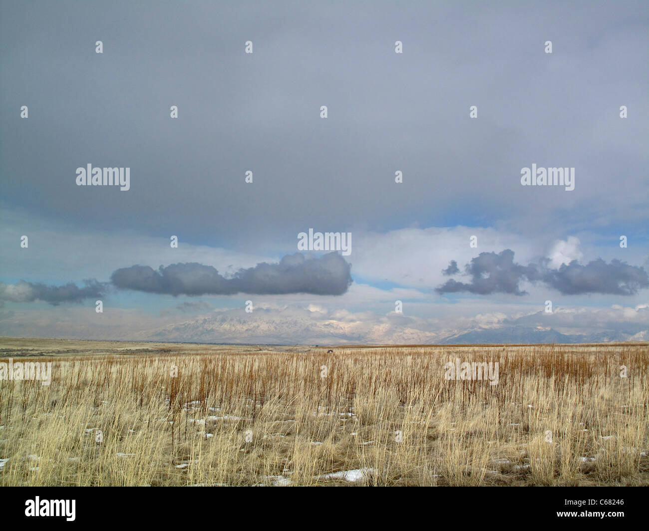 Antelope Island, Italy Banque D'Images