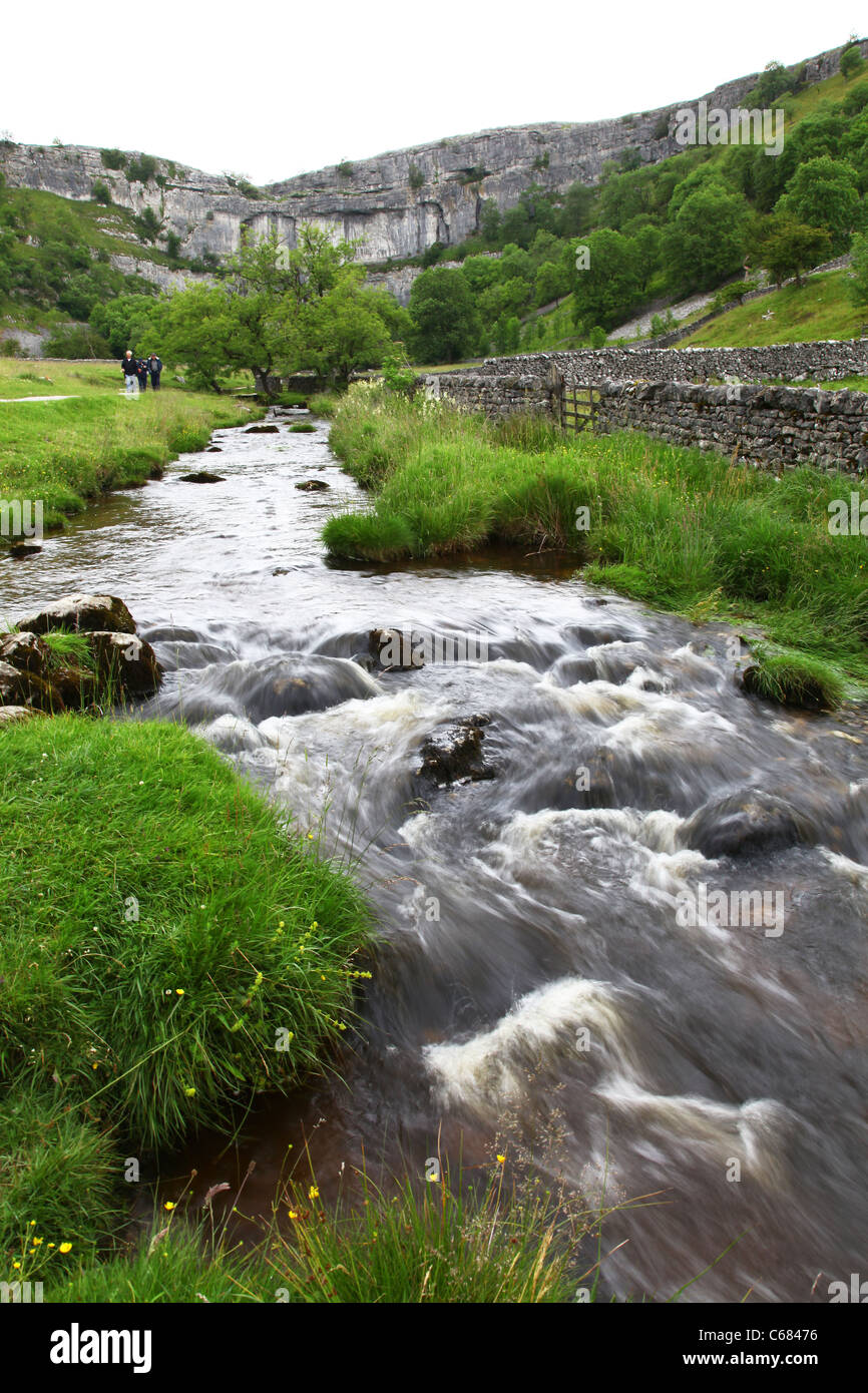 Malham Beck stream, Malham Cove, dans le Yorkshire, Yorkshire Dales National Park, England, UK Banque D'Images