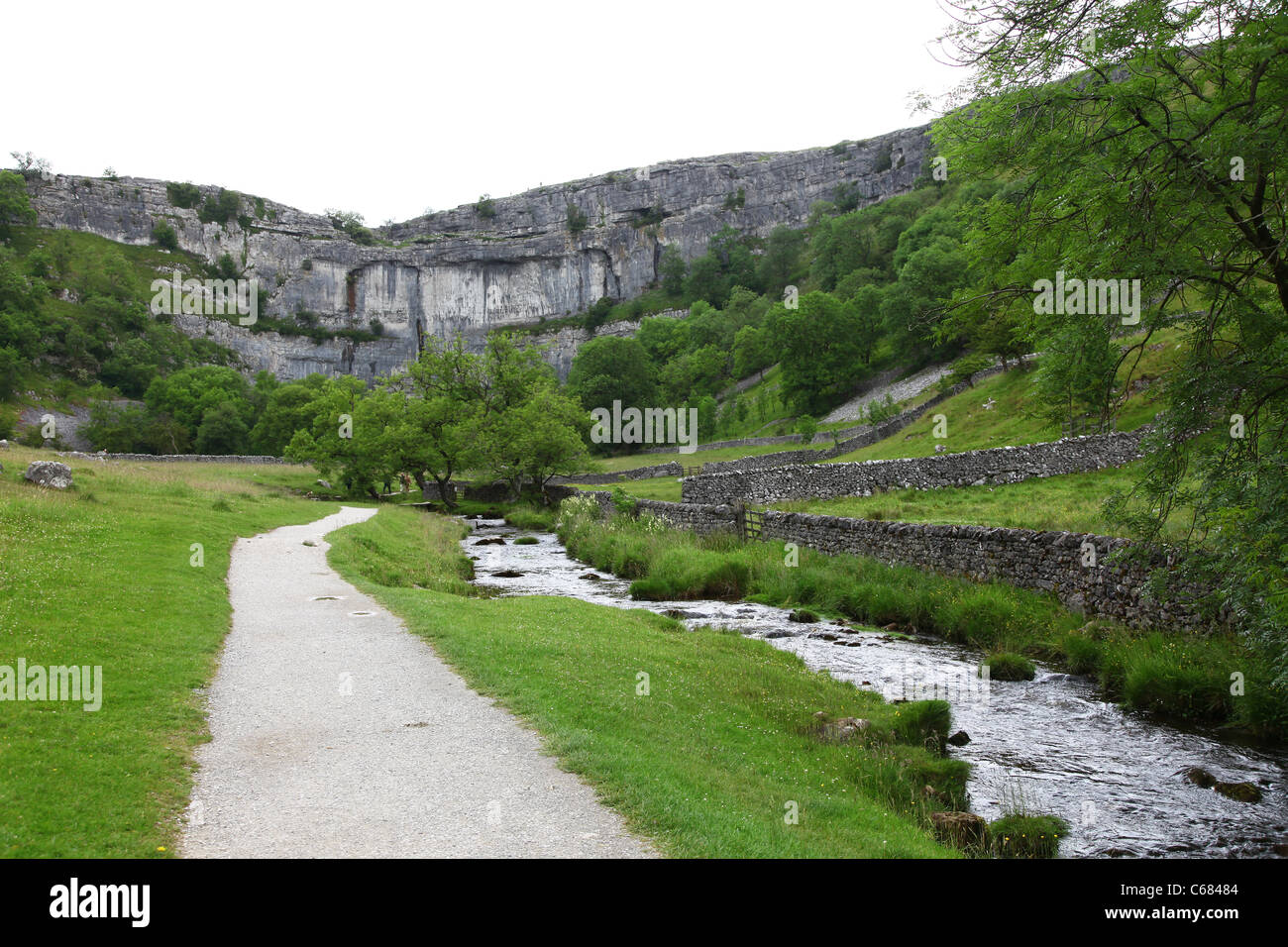 Malham Beck stream, Malham Cove, dans le Yorkshire, Yorkshire Dales National Park, England, UK Banque D'Images