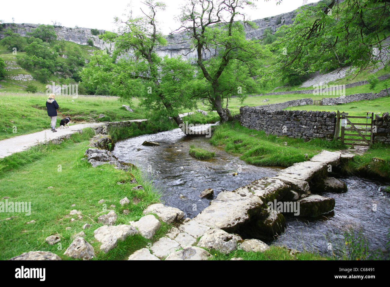 Clapper Pierre pont sur Malham Beck stream Malham Cove, dans le Yorkshire, Yorkshire Dales National Park, England, UK Banque D'Images
