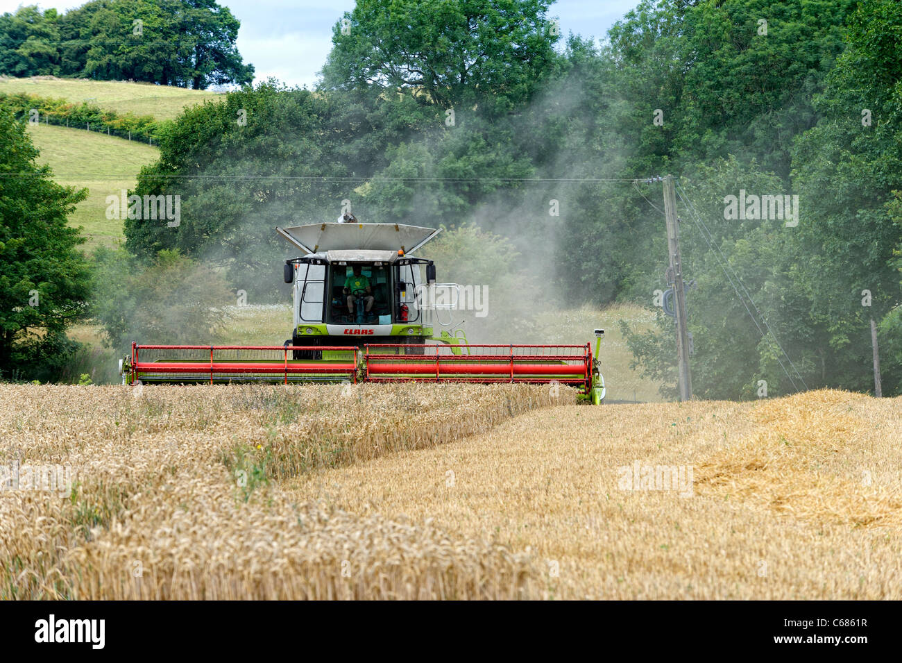 Moissonneuse-batteuse au travail dans un champ de blé Banque D'Images