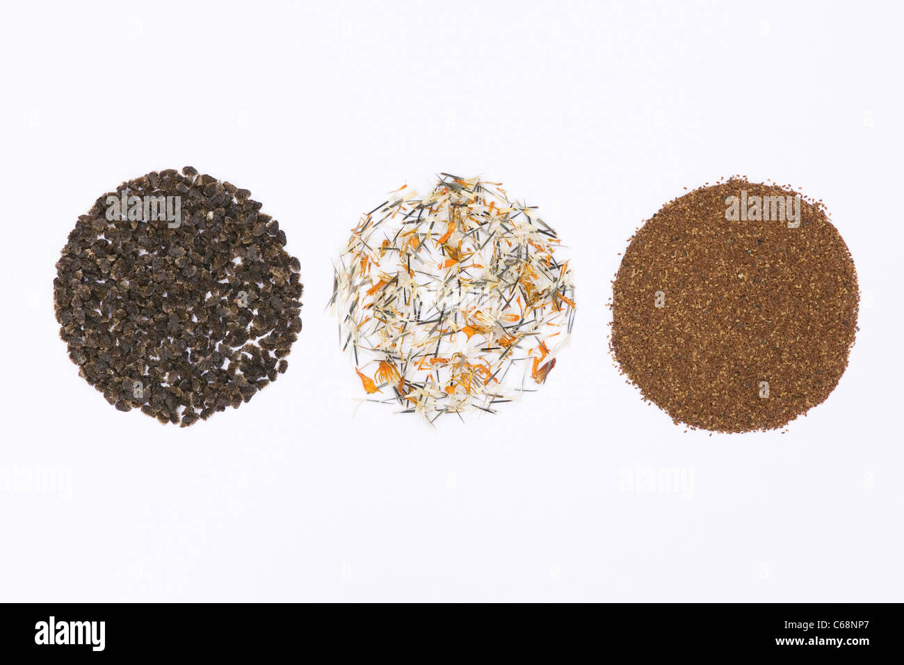 Aconitum, Tagetes et Digitalis graines sur un fond blanc Banque D'Images