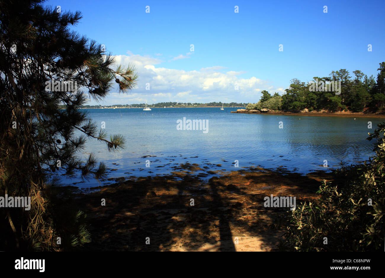 Vue sur le Golfe du Morbihan et de l'Ille aux moines de l'Ile de Berder, Larmor-Baden, Morbihan, Bretagne, France Banque D'Images