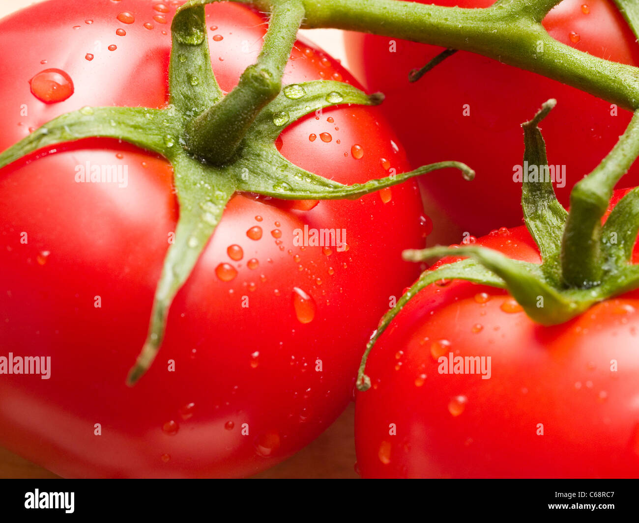 Detailaufnahme von nassen Tomaten | photo de détail tomates humide Banque D'Images