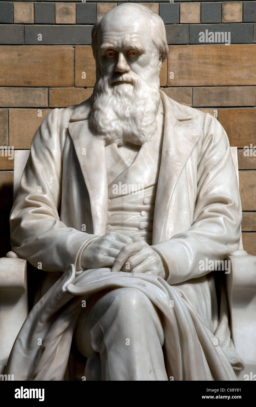 Charles Darwin sculpture au Natural History Museum, Londres Banque D'Images