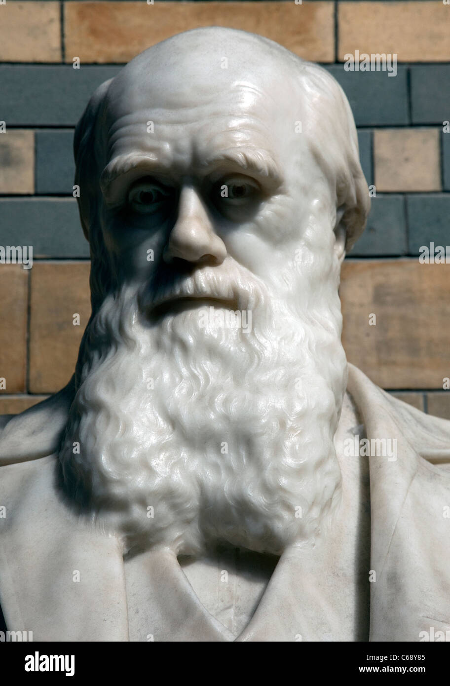 Charles Darwin sculpture au Natural History Museum, Londres Banque D'Images
