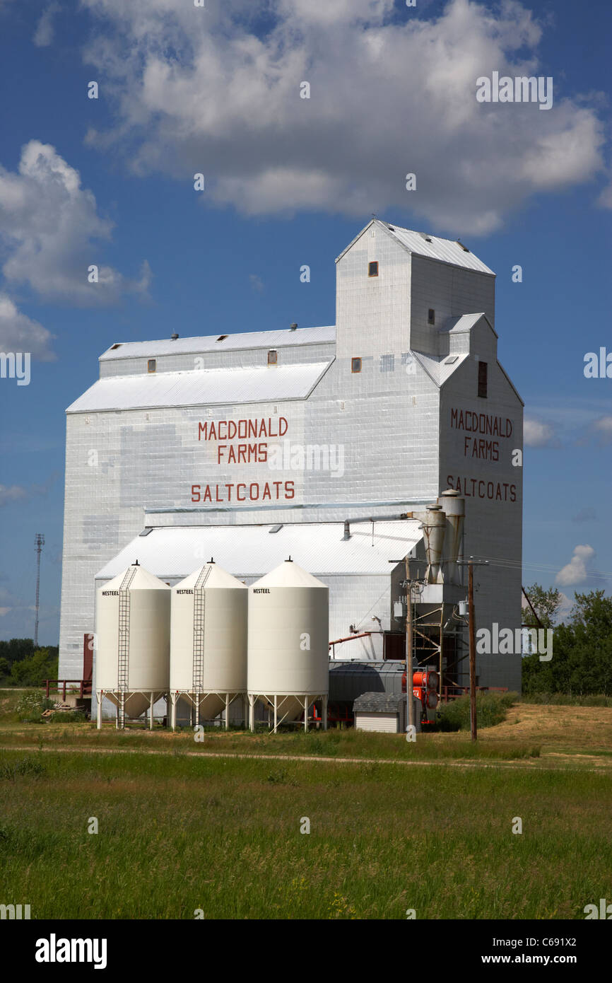 Style ancien en bois historique sur l'élévateur à grain macdonald farms Saskatchewan Canada saltcoats Banque D'Images