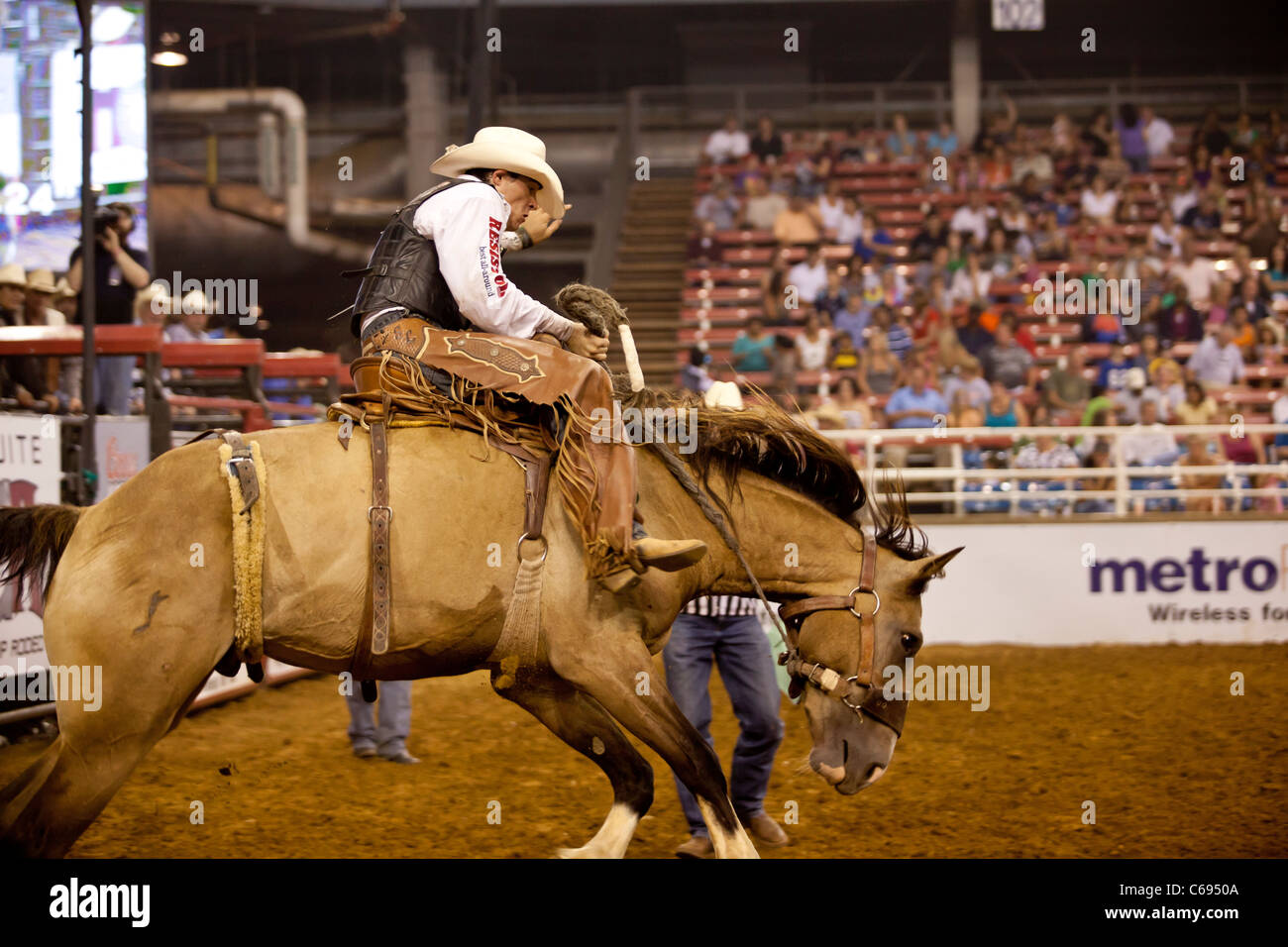 Rodeo Cowboy saddle bronc riding au Mesquite Championship Rodeo, Mesquite, Texas, États-Unis Banque D'Images