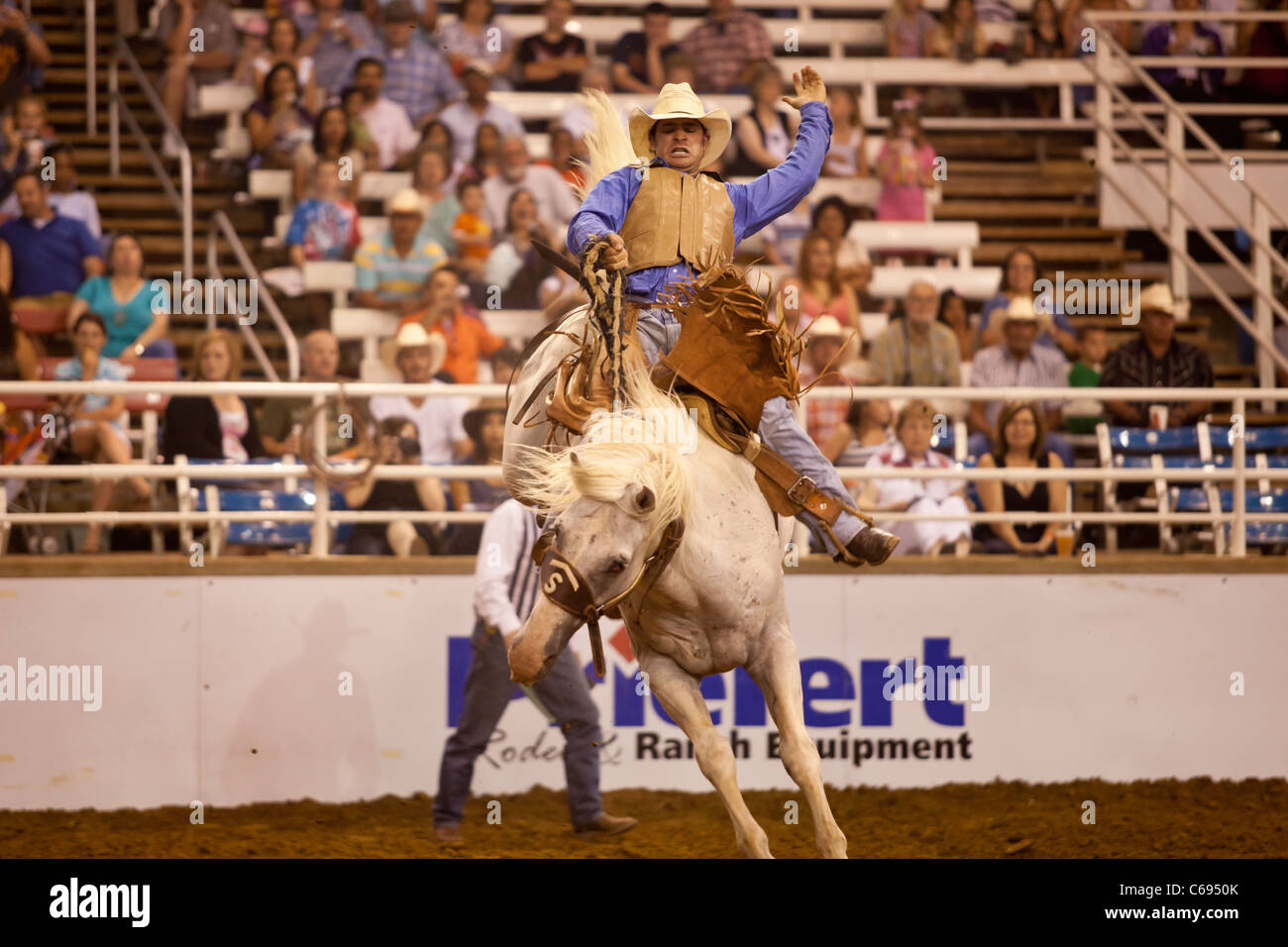 Rodeo Cowboy saddle bronc riding au Mesquite Championship Rodeo, Mesquite, Texas, États-Unis Banque D'Images