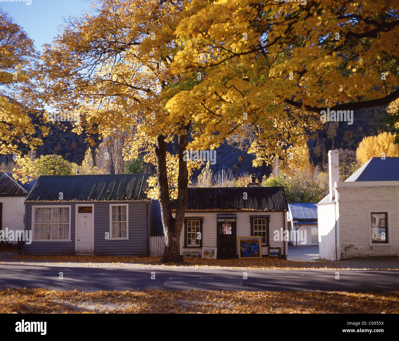 Couleurs d'automne en cottages coloniaux, Arrowtown, Région de l'Otago, île du Sud, Nouvelle-Zélande Banque D'Images