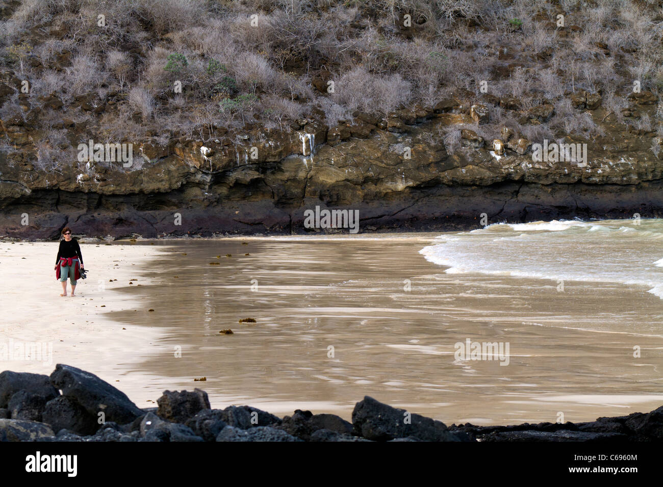 Middle-aged woman sur la plage de l'Île Floreana, Galapagos Banque D'Images