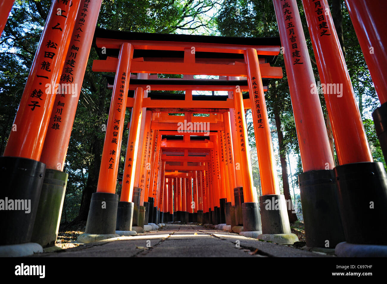 Torii, ou portes rouge, un chemin de ligne au Sanctuaire Fushimi Inari près de l'ancienne ville japonaise de Kyoto pendant le coucher du soleil en mars 2009. Banque D'Images