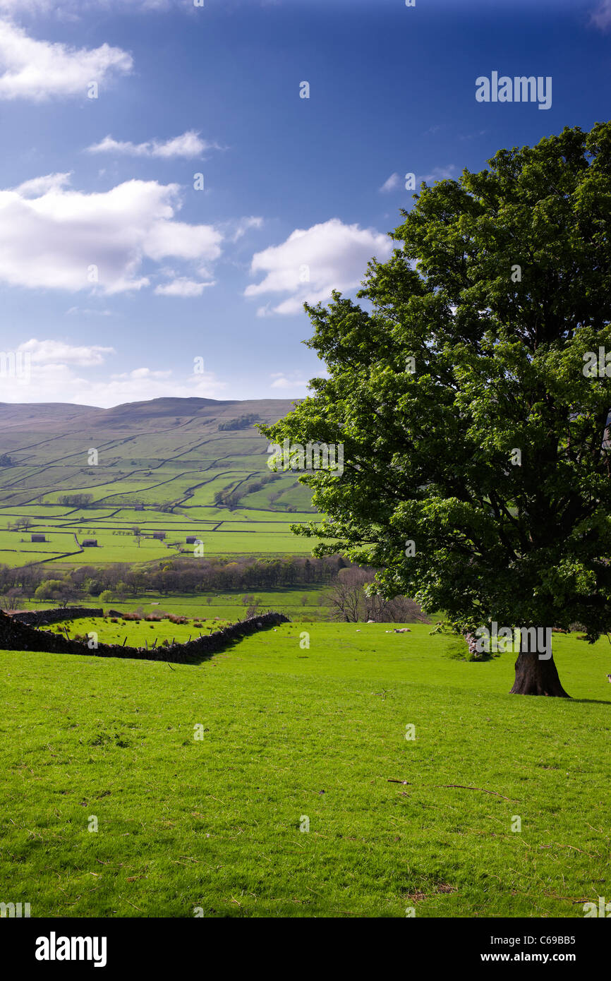À la recherche du village de calage Busk voyage Raydale au village de Marsett et dit s'est passé au-delà. Yorkshire Dales Banque D'Images