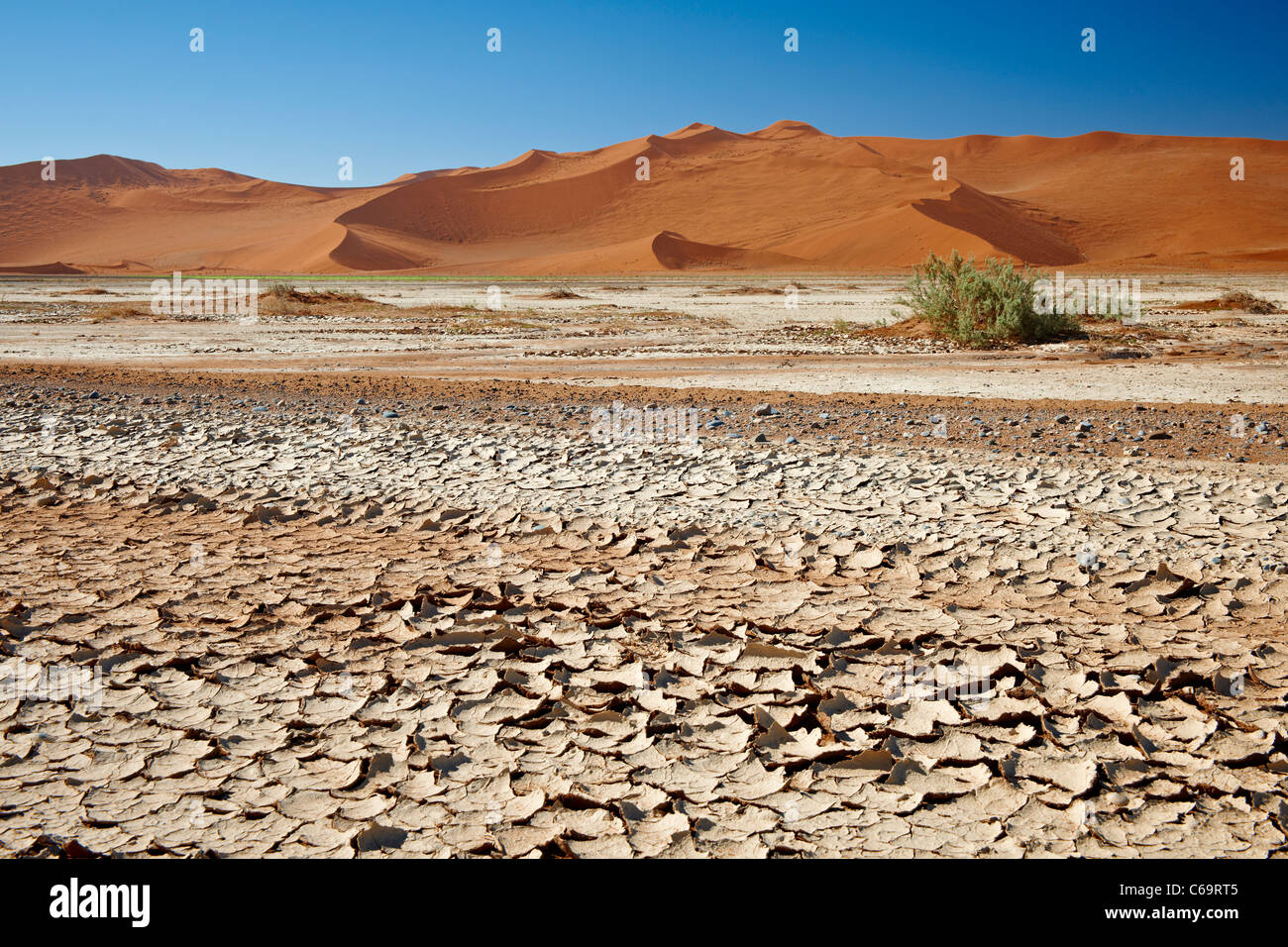 Bursted et sol desséché dans paysage de désert de dunes à Sossusvlei, Namib Namib-Naukluft National Park, Namibie, Afrique Banque D'Images