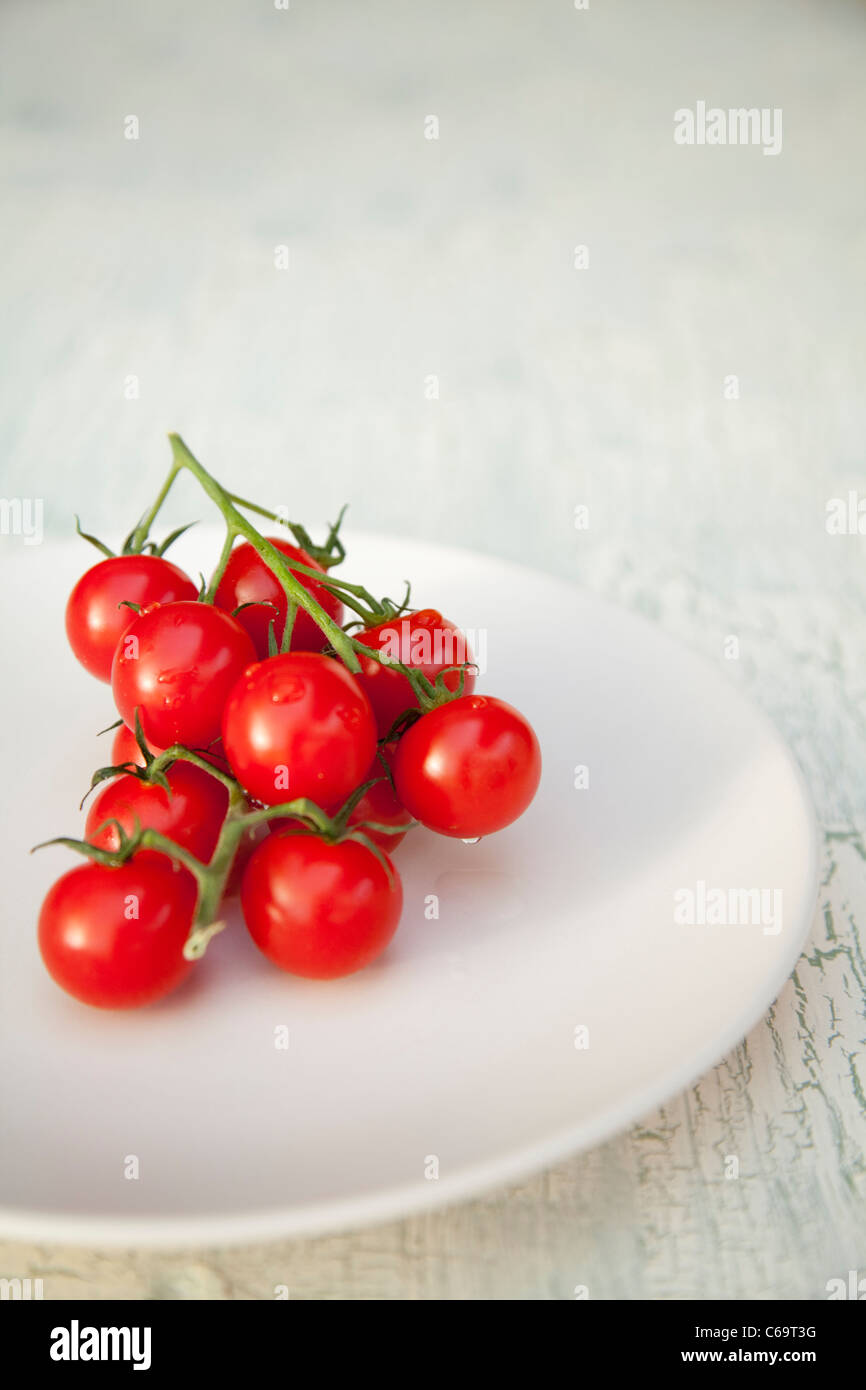 Les tomates de la vigne sur une plaque blanche Banque D'Images