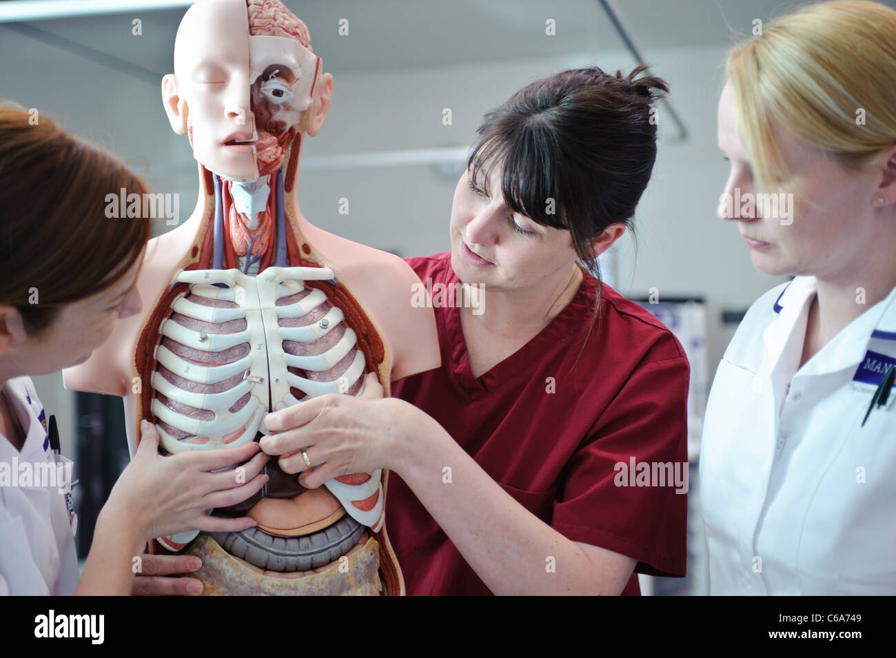 Blanc femelle étudiantes infirmières et l'enseignant en interaction avec l'anatomie humaine modèle anatomique Banque D'Images