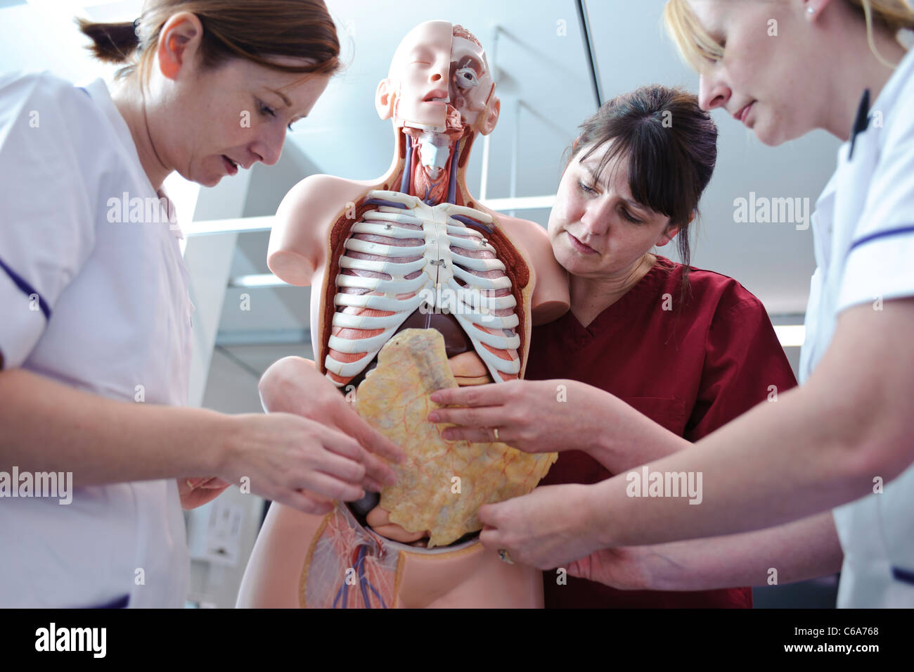 Blanc femelle étudiantes infirmières et l'enseignant en interaction avec l'anatomie humaine modèle anatomique Banque D'Images