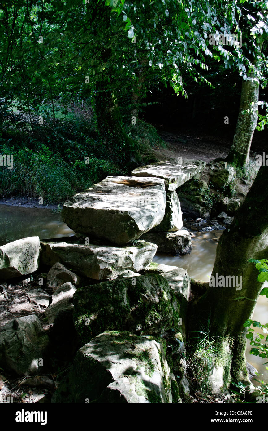 Pont mégalithique, rivière La Varenne, le Chatellier (Orne, Normandie, France). Banque D'Images