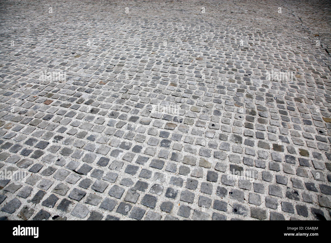 Des galets sur une rue pavée à Paris, France Banque D'Images