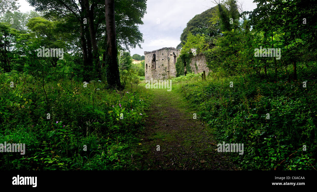 Une image panoramique des ruines du château de Candleston à Merthyr Mawr au pays de Galles. Banque D'Images