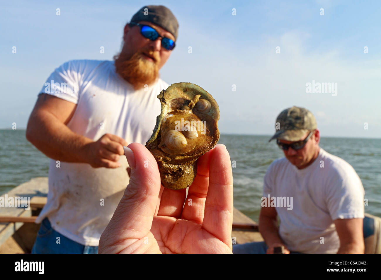 Libre De Produits Frais Peches Coquille D Huitre Avec Bebe Formant Les Huitres Photo Stock Alamy