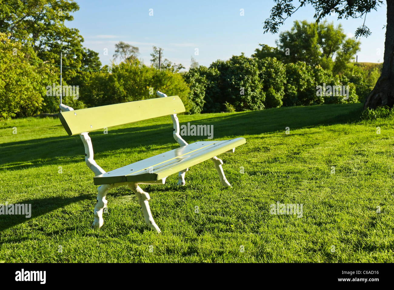 Banc en bois vide sur une pelouse dans un parc sur une journée ensoleillée Banque D'Images