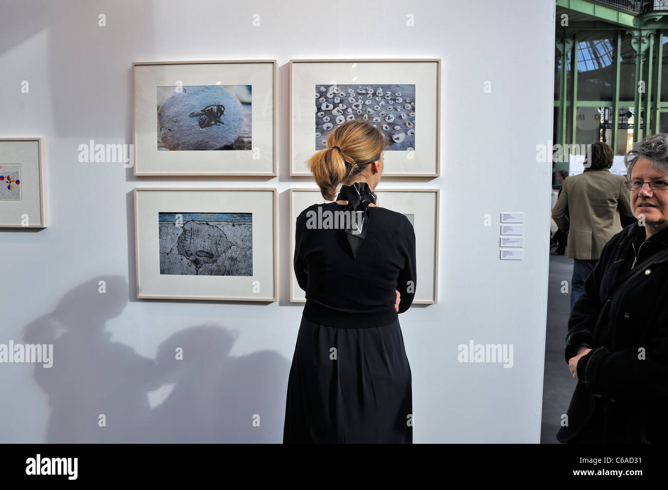 Paris, France, une femme caucasienne qui regarde la photographie à l'exposition d'art à Fiac 2010 Banque D'Images