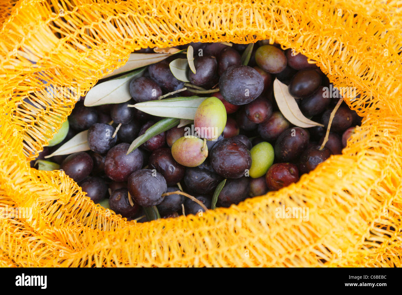 Olive noire en sac jaune Banque D'Images