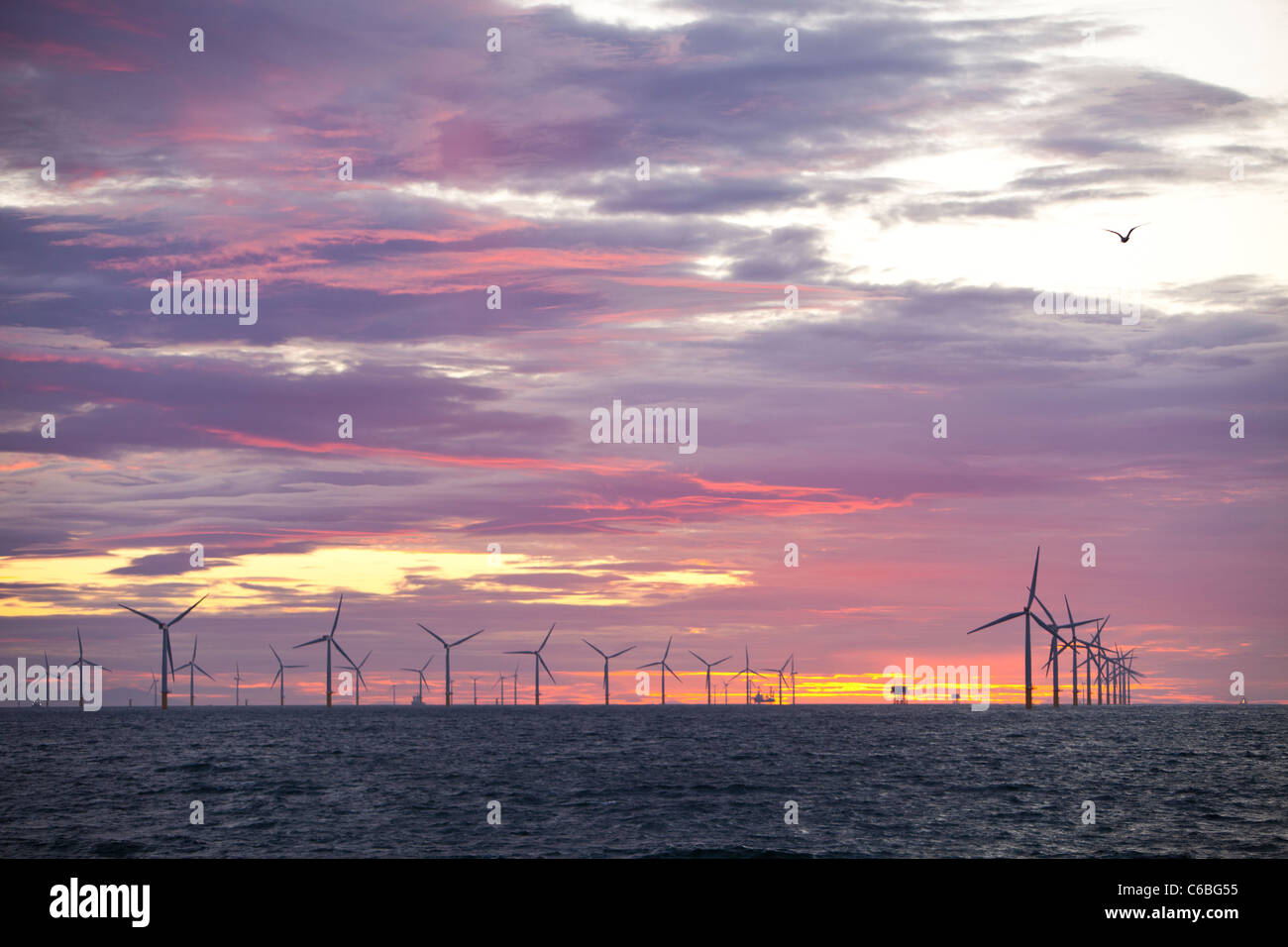 Le projet de parc éolien offshore de Walney off, Barrow in Furness, Cumbria, Royaume-Uni, au coucher du soleil. Banque D'Images