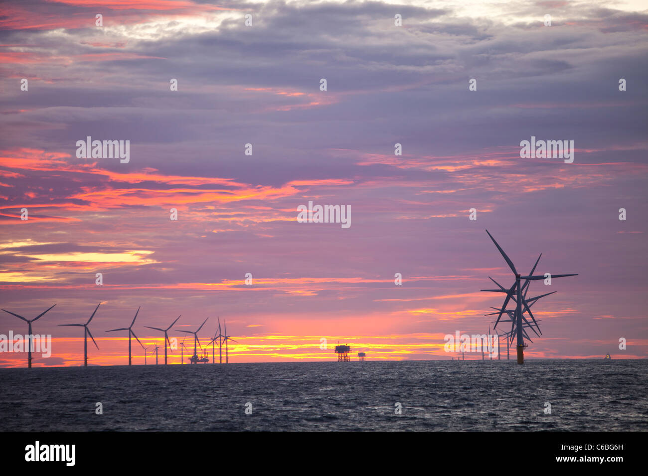 Le projet de parc éolien offshore de Walney off, Barrow in Furness, Cumbria, Royaume-Uni, au coucher du soleil. Banque D'Images
