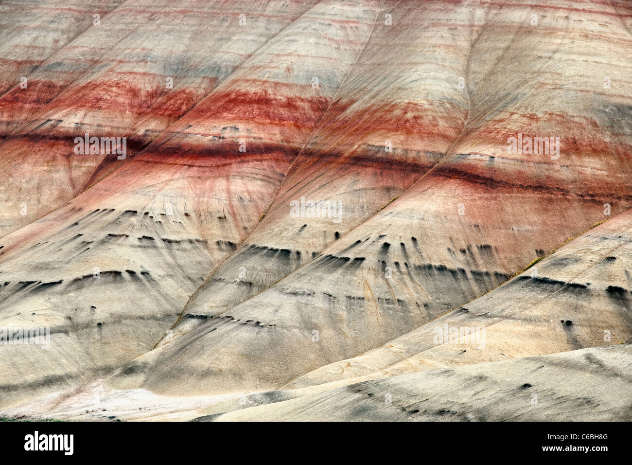 Les dépôts de cendres coloré des bandes de mettre en lumière l'Oregon est peint Hills et le John Day Fossil jumeaux National Monument. Banque D'Images