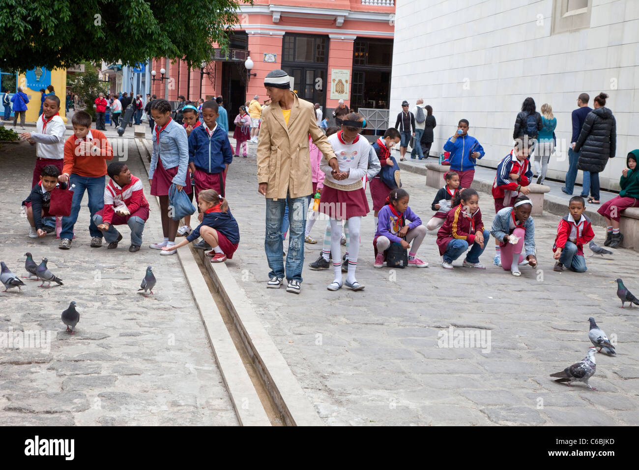 Cuba, La Havane. L'alimentation des enfants de l'école les pigeons dans la rue. Banque D'Images