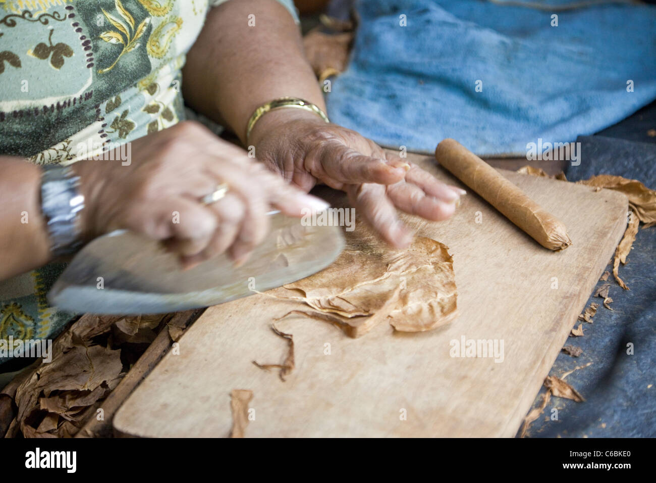 Cuba, La Havane. Fabrique de cigares Partagas. Femme Cigarier (Torcedor) utilise la lame (Chaveta) pour couper la feuille. Banque D'Images