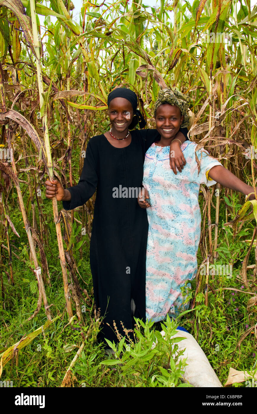 Filles éthiopiennes en champ de maïs l'Ethiopie Banque D'Images