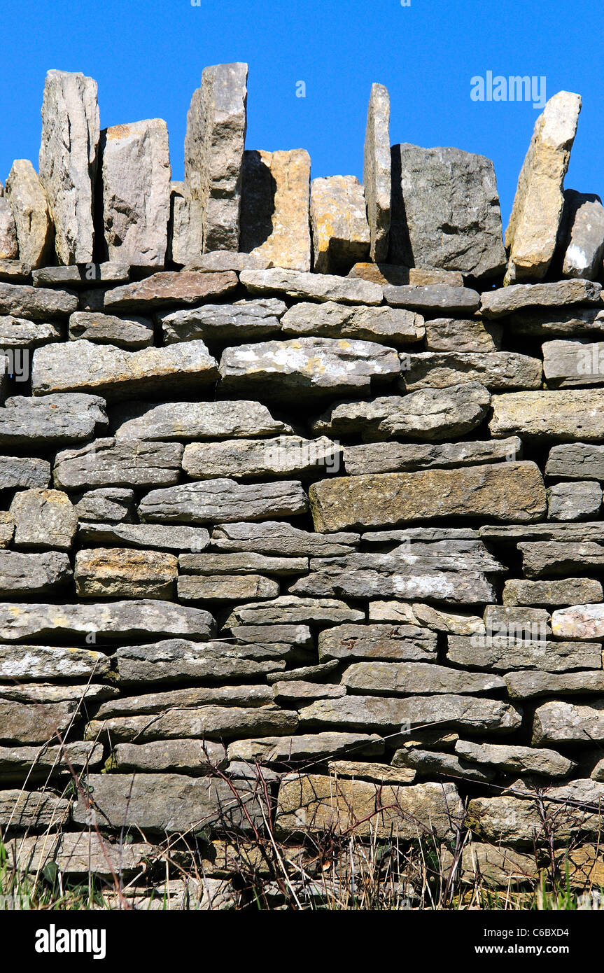 Un mur en pierre de sone Purbeck Dorset UK Banque D'Images