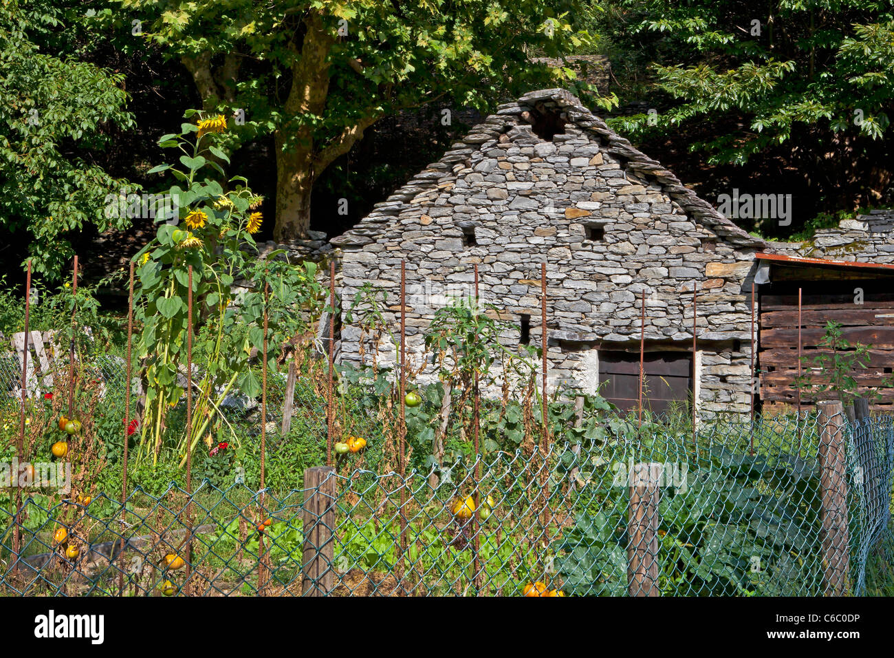 Une vieille maison en pierre appelée Rustico au Tessin, Locarno, Suisse, avec potager Banque D'Images