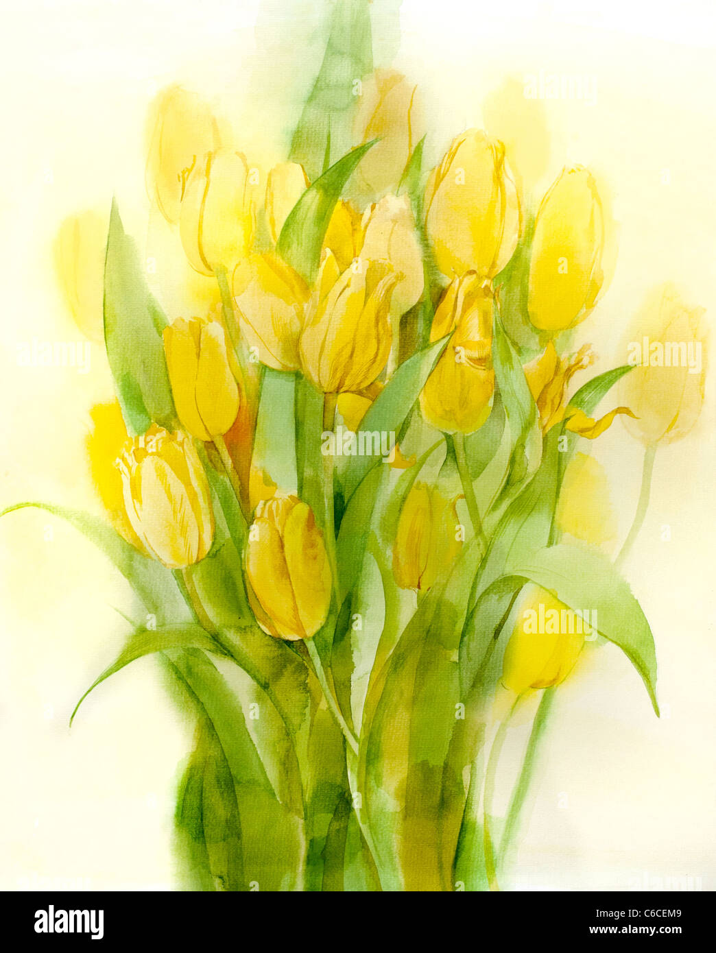 Tulipes jaunes. La vie encore. Aquarelle, papier Banque D'Images