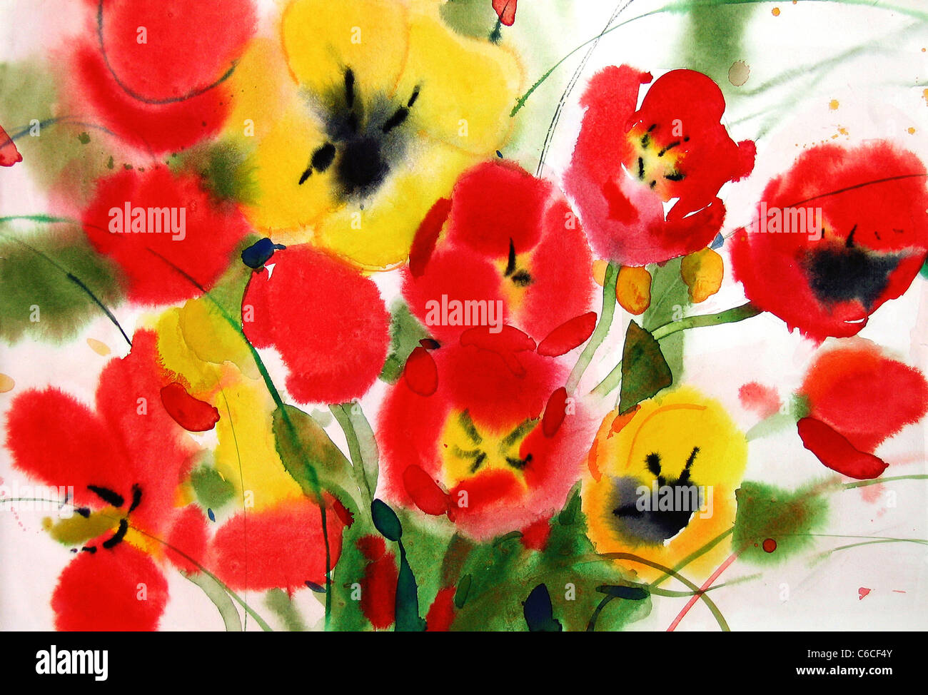 Tulipes fleurs, aquarelle. Papier. L'aquarelle. Artiste - Tanya Kazantseva, Belarus, Minsk. Banque D'Images