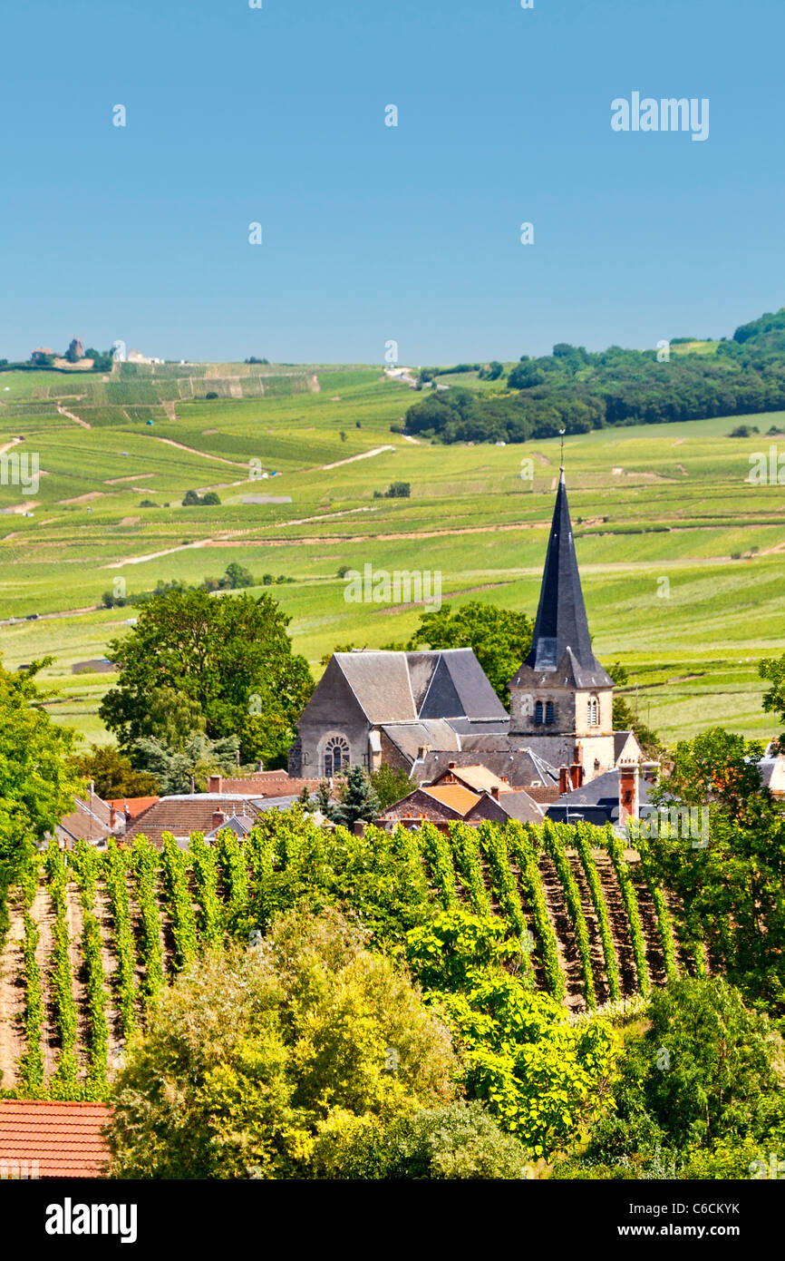 France, Marne, Rilly la montagne, un village près de Reims associée au Champagne vin Banque D'Images