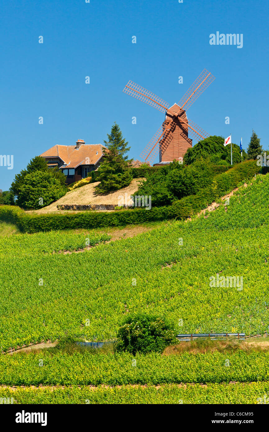 Parc Régional De La Montagne De Reims Le Moulin De Verzenay