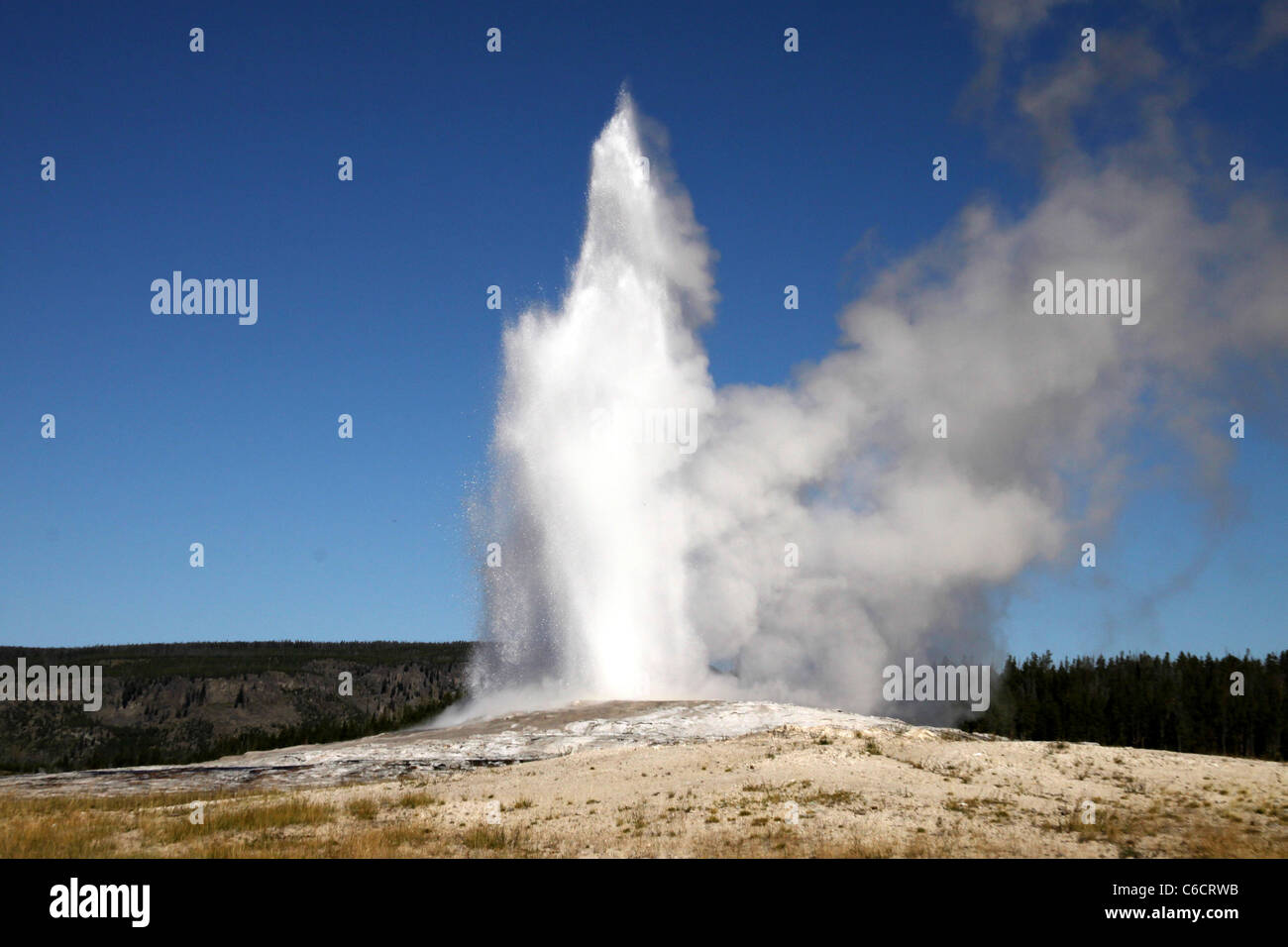 Old Faithful Geyser, Yellowstone National Park Banque D'Images