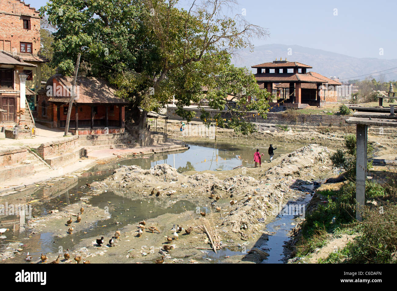 Rivière très polluée avec des canards à Katmandou, Népal, Région du Centre Banque D'Images