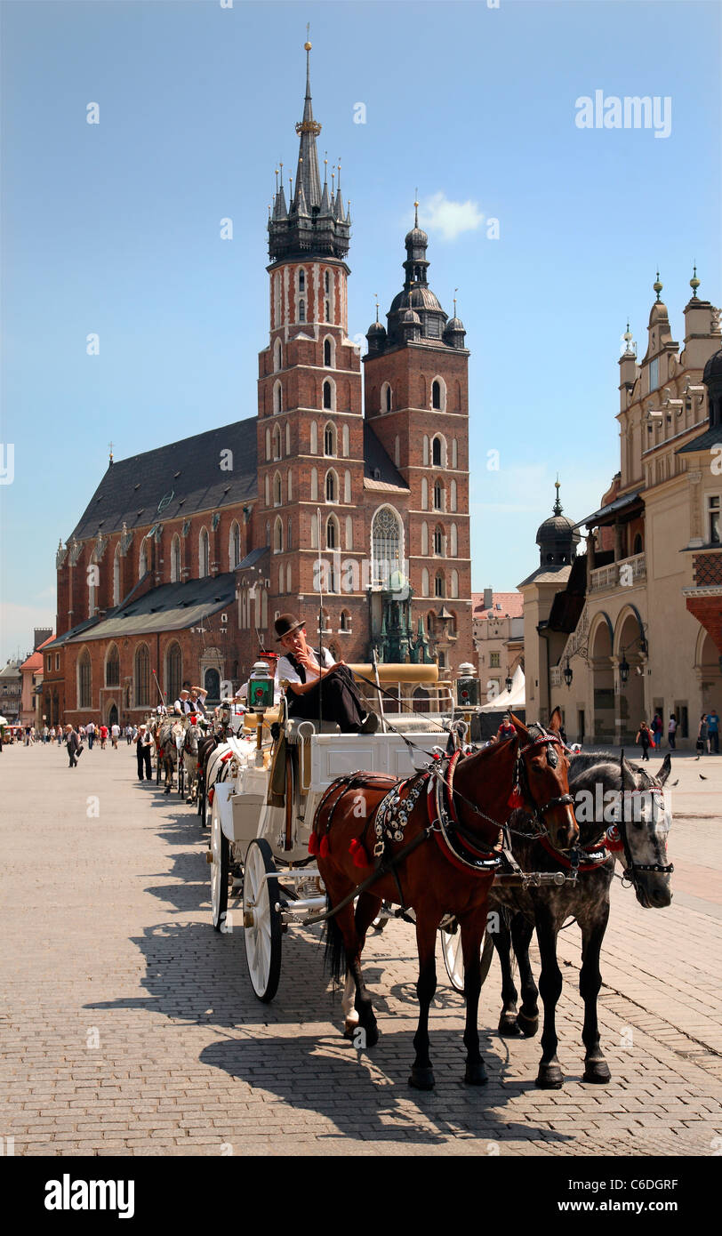 Pologne Cracovie basilique de l'Assomption de Notre-Dame à cheval et chariot Banque D'Images