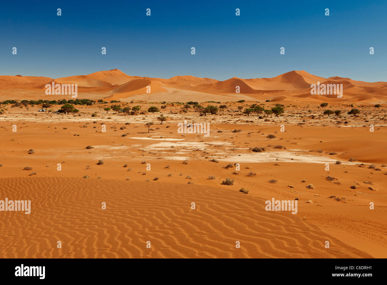 Paysage du désert du Namib et les dunes de sable rouge avec à Sossusvlei, Namib-Naukluft National Park, Namibie, Afrique Banque D'Images