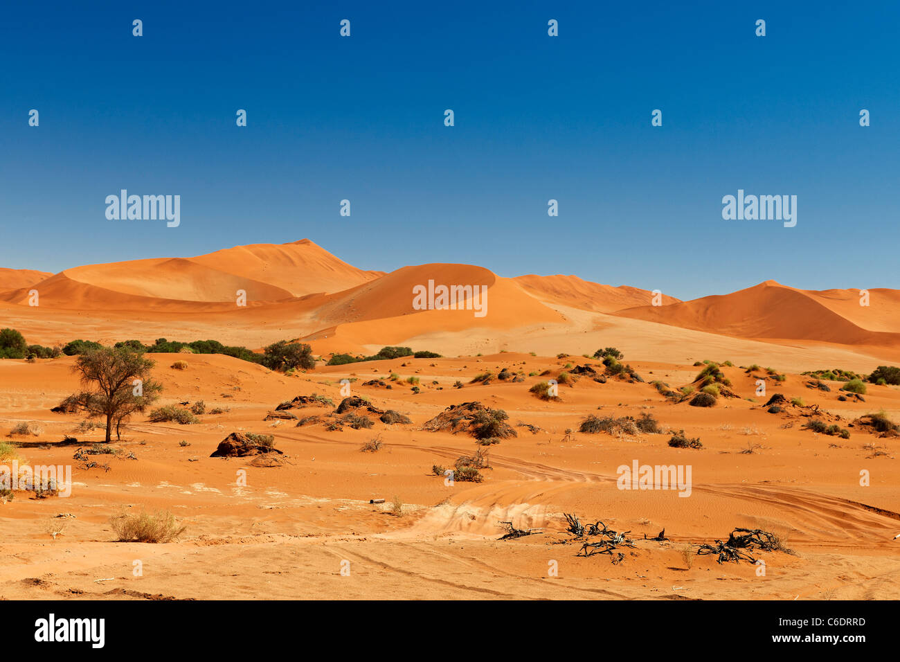 Paysage du désert du Namib et les dunes de sable rouge avec à Sossusvlei, Namib-Naukluft National Park, Namibie, Afrique Banque D'Images