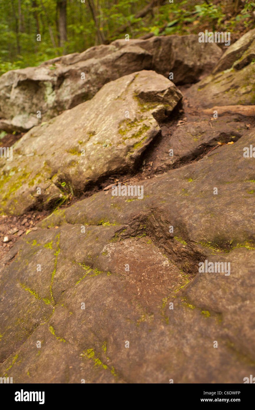 Sentier des Appalaches, en Virginie, Etats-Unis - Pied tenir dans la roche, d'un sentier à McAfee Bouton sur Catawba Mountain, près de ville de Roanoke. Banque D'Images